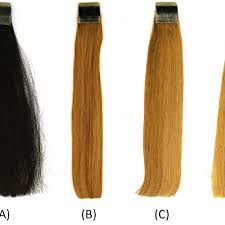 Now you need to choose the colour for your bleached hair. Photograph Of A European Dark Brown Virgin Hair B Bleached Hair Download Scientific Diagram