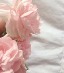 Pastel pink aesthetic app icons camera / pastel pink and white app icons blog pixie. Pink And White Images On Favim Com