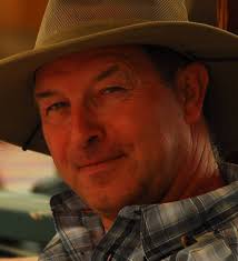 Sparrowhawk love them or hate them????