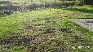 Sign up for our newsletter complete diy projects like a pro! How To Fix An Uneven Lawn Lawntech