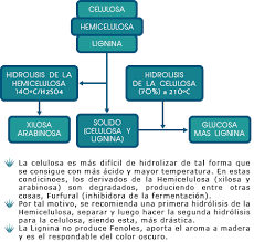 Este proceso se denomina sudado de las piezas y en él lo fundamental es que la temperatura de los jamones. Proceso De Elaboracion De Tequila