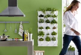 Las plantas aromáticas le darán un ambiente especial a tu cocina. Cultivar Hierbas Aromaticas En Casa Decoracion Diseno Inspiracion