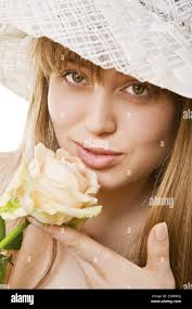 Rosa indica hi-res stock photography and images