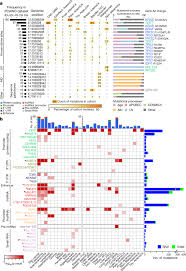 Rt is used to cure cancers that are localized; Analyses Of Non Coding Somatic Drivers In 2 658 Cancer Whole Genomes Nature