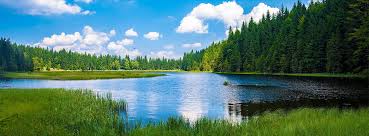 Der nationalpark bayerischer wald ist der erste und damit älteste, international anerkannte nationalpark deutschlands und erstreckt sich mit einer fläche von rund 243 quadratkilometern um. Nationalpark Bayerischer Wald Sehenswurdigkeiten Camping Ausflugstipps