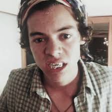 Harry Styles Pilgrim