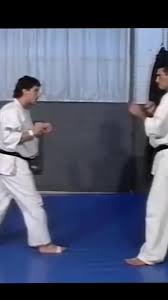 Andy Hug Kick Highlights: Kyokushin Karate Fighter