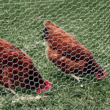 It's made of thin wire woven together to create hexagonal openings. Chicken Wire All You Need To Know The Happy Chicken Coop