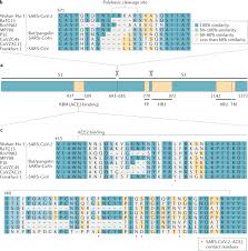 Up and down only for stairwells. Coronavirus Biology And Replication Implications For Sars Cov 2 Nature Reviews Microbiology