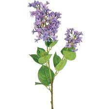 Linea Purple Lilac Single Stem Purple Lilac Lilac Flowers Lilac