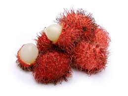 You can plant acacia for farming by using acacia seed. Weird Fruits Bizarre Exotic Fruits
