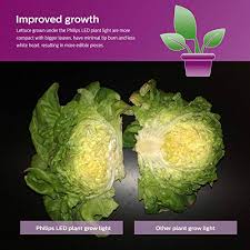 The ge plant lights for indoor plants full spectrum feature advanced led technology that uses only 9 watts of energy with low heat generation. Philips Led 532969 Par38 Plant Grow Light Bulb 1200 Lumen 5000 Kelvin 16 Watt E26 Medium Screw Base 1 Pack White Pricepulse