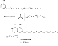 Phenalkamines - Cardolite Corporation