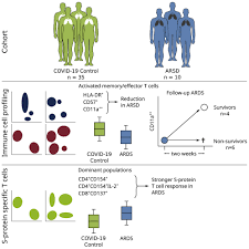 Wiedemann hp, wheeler ap, bernard gr, et al; Covid 19 Induced Ards Is Associated With Decreased Frequency Of Activated Memory Effector T Cells Expressing Cd11a Molecular Therapy