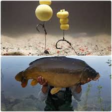 Karpfen Rigs Hair Rig 3 X Boilie Vorfach Haken Karpfen Angeln Extrem Fangig Ebay Karpfen Angeln Karpfen Angeln