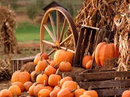 Autumn decoration on wood background pumpkin with leaves halloween pumpkin background pumpkin leaf scary jack wood background leaves spooky halloween pattern orange rustic wood fall pumpkin. 74 Pumpkin Wallpaper Backgrounds On Wallpapersafari