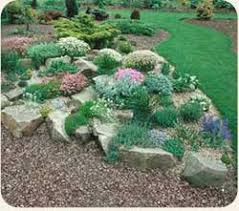 Or use a simple terra cotta dish. How To Create A Pollinator Friendly Rock Garden