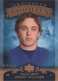 2006-07 Upper Deck #247 Jeremy Williams Young Guns RC