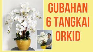 Check spelling or type a new query. Gubahan Bunga Orkid Herunterladen