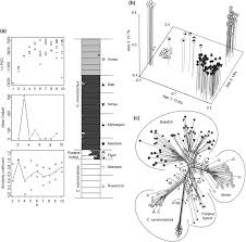 Image result for Carex runssoroensis