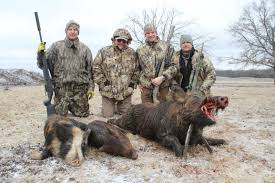 All of our hunts provide one on one attention, with a seasoned ranch employee guide helping you get the best hunting experience possible. Guided Feral Hog Hunting Lodging In Southern Oklahoma