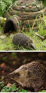 Hedgehog Home Wondering How To Attract Hedgehogs To Your Garden Our Hedgehog Igloo Is A Retreat For Hedgehog House Wildlife Garden Design Wildlife Gardening
