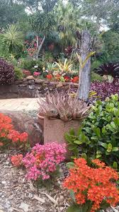 Pin By Don On Eureka Tropical Gardens Tropical Garden Plants Garden