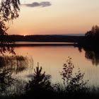 Alle Reden Von Greta In 2020 Witzige Spruche Danke Zitate Lustige Spruche