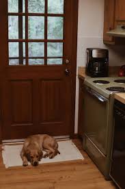 The sound of that might bring memories of plastic covers like grandma used to do, but there are a lot of modern. 21 Puppy Proofing Tips For Your Home Yard And Car Pupford