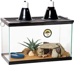 Reptile Kits Are A Useless Waste Of Money Zilla Desert Reptile Kit 10 Leopard Gecko Reptile Terrarium Terrarium For Sale