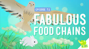 Food chains let us know how plant life and animal life get bridged together by the things they eat. Fabulous Food Chains Crash Course Kids 7 1 Youtube