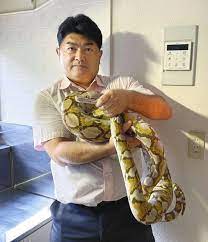(central) african rock python など）はニシキヘビ科ニシキヘビ属に分類されるヘビである。かつてナタールニシキヘビ (学名: Buqfacae2mlrkm