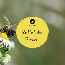 10 Tipps Fur Ein Bienenparadies Im Eigenen Garten Plantura Bienen Bienenfreundliche Pflanzen Garten