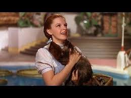 I See Stars We Re Not In Kansas Anymore Toto I Ve A Feeling We Re Not In Kansas Anymore The Wizard Of Oz 1939 Wizard Of Oz Movie Wizard Of Oz 1939 Wizard Of Oz
