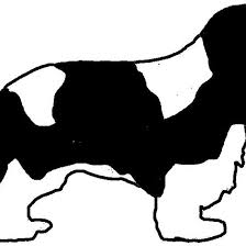 Black And Tan Cavalier With White Cavalier King Charles Spaniel Black And White Silhouette Cavalier King Charles Dog King Charles Spaniel Cavalier King Charles