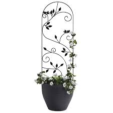 The most common metal plant supports material is metal. Garden Gear 1 2m Metal Plant Support Telegraph Shop