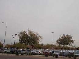 Desert rose pizza gastropub & steaks. 18 Pizza Slice Picture Of Camelback Ranch Glendale Tripadvisor