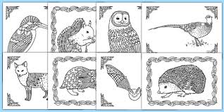 Review the list of wild animal coloring pages below and click on the ones you would like to see. British Wildlife Mindfulness Coloring Sheets Teacher Made
