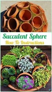 Diy Flower Clay Pot Sukkulente Aussage Diy Indoor Sukkulenten Garten Id An Garte Au In 2020 Succulent Garden Indoor Succulent Garden Diy Succulents Diy