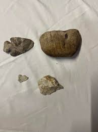 What I found today in the garden.