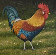 Manolo Castro Thomas