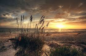 Lucie, fl drug and alcohol at dream center recovery, we apply every favorable method out there to our program in recognizing that every individual is different and must be approached in a manner that benefits their personality and style. Top Port St Lucie Rehab For Drug And Alcohol Abuse Beachside Fl