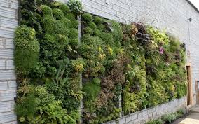 Hiasan dinding untuk rumah sempit. Rumah Sempit Gunakan Dinding Polos Untuk Dekorasi Vertical Garden Hasilnya Luar Biasa Okezone Lifestyle