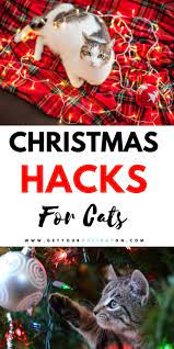 How To Keep Your Cat Out Of The Christmas Tree Get Your Holiday On Cat Christmas Tree Cat Proof Christmas Tree Christmas Cats