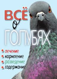 смотреть фильм бесплатно в хорошем качестве любовь и голуби Audiokniga Lyubov Golubi Prakard