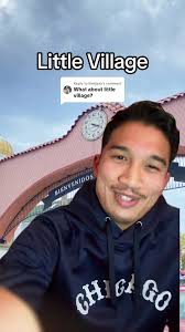 John Spry Community School Chicago Little Village