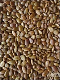 Image result for Faidherbia albida