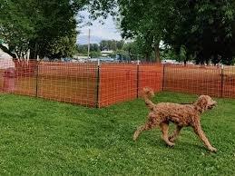 Pop up fence for dogs. Pop Up Dog Parks Come To Kirkland For The Summer Kirkland Wa Patch