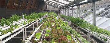 Dating for farmers is part of the dating network, which includes many other general and farmer dating sites. New Agriculture Technology In Modern Farming Plug And Play Tech Center