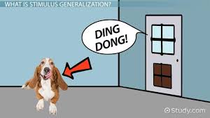 What Is The Opposite Of Stimulus Generalization Study Com